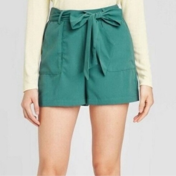 A New Day Teal Shorts - Picture 3 of 6